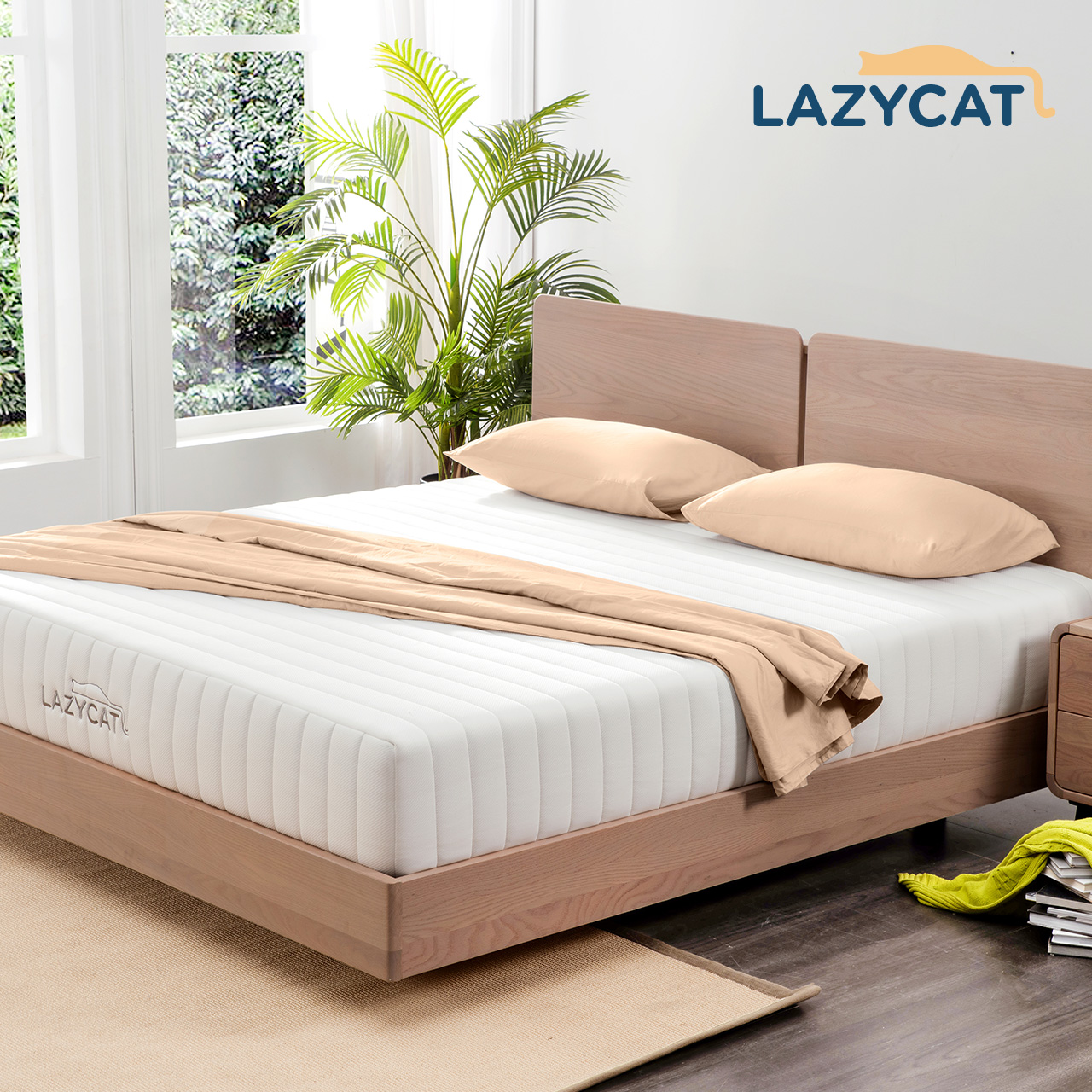 Lazycat Client and Partner